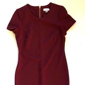 Calvin Klein excellent used condition. Great for work!